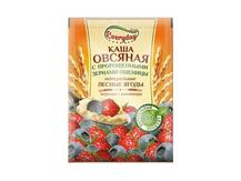 Каша овсяная ТМ "Everyday" с пророщенными зернами пшеницы натуральные лесные ягоды черника и земляника